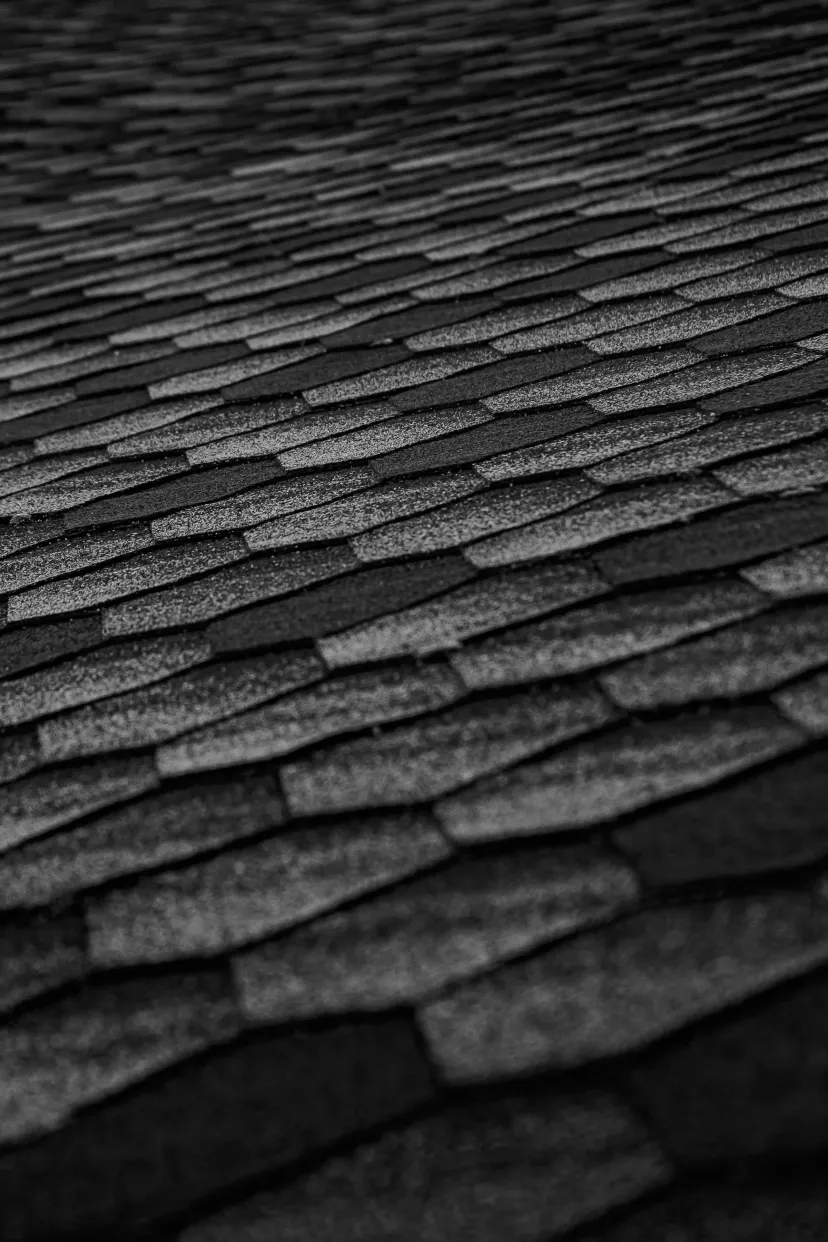 Professional roofing installation